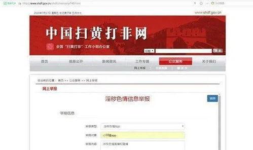 成人app直播官网,官网揭秘行业前沿动态与精彩瞬间